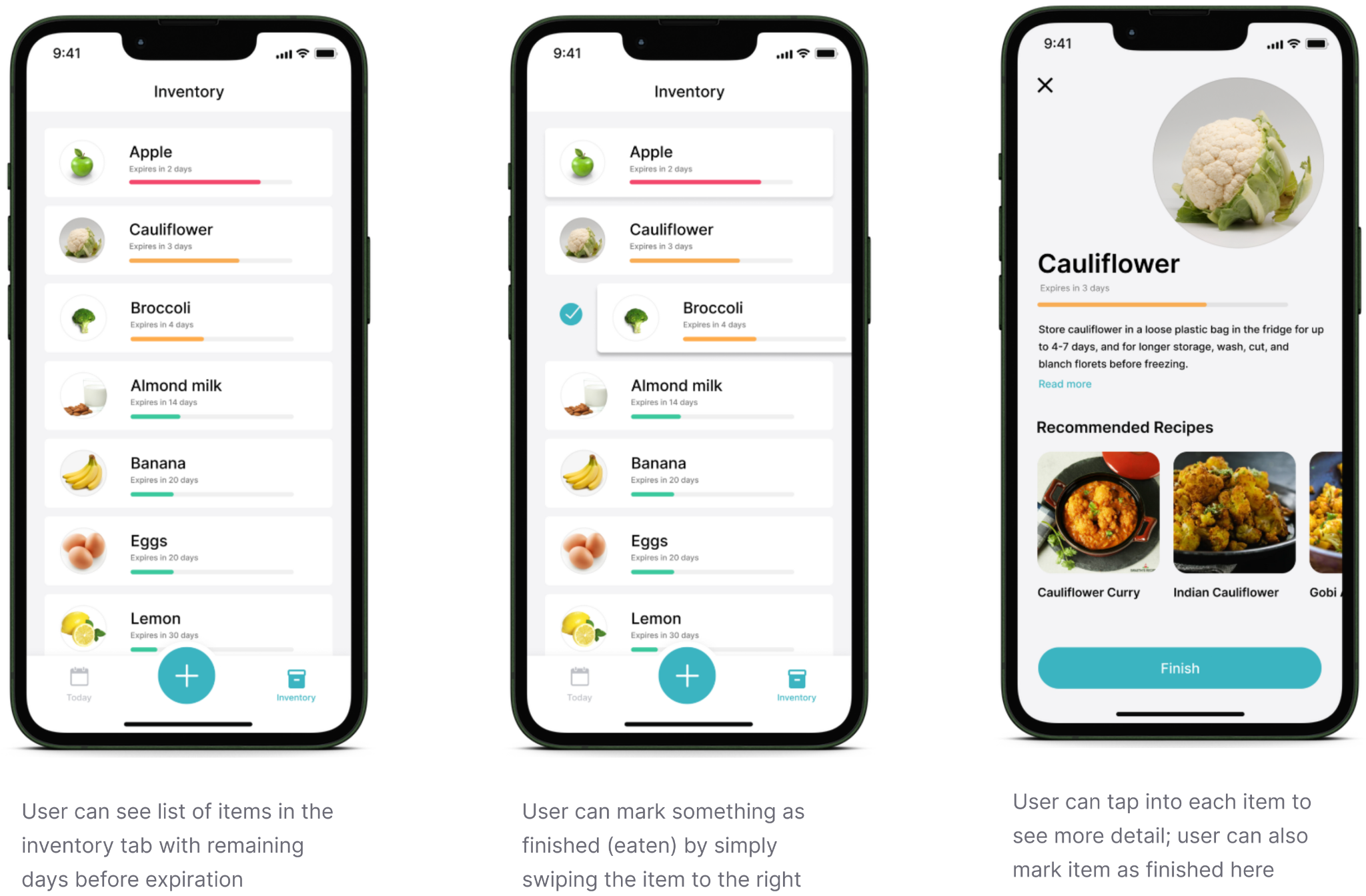 Fridge Buddy Portfolio Design